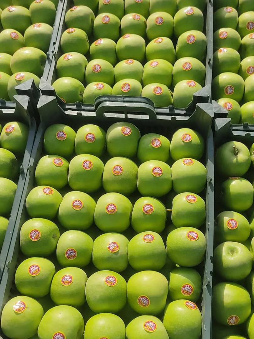 خرید و فروش